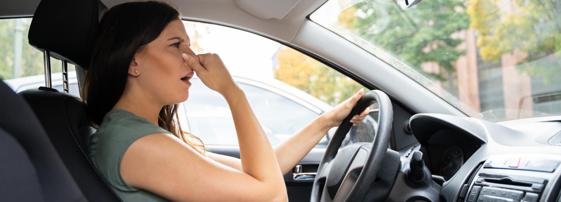 Vermeend blad dood gaan Van brandlucht tot rotte eieren: dit vertelt de geur van je auto