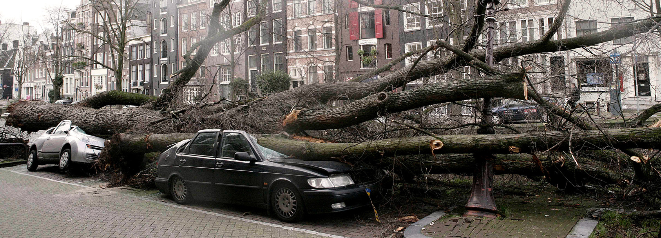 stormschade